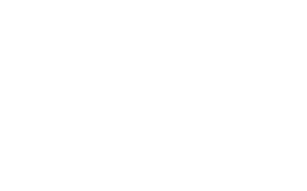 Netball Development Academy